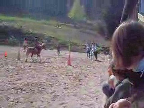 Facteur le 26 avril 2009 pony games