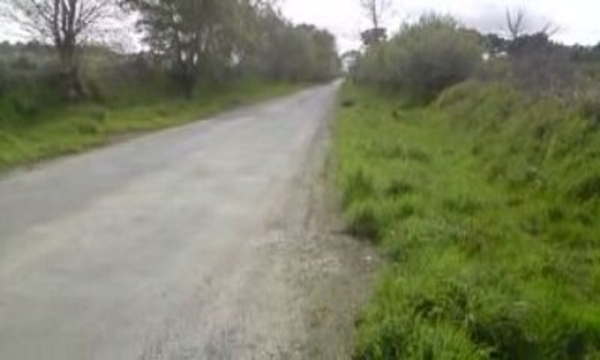 [Christo29400] Rieju Smx Top Rose