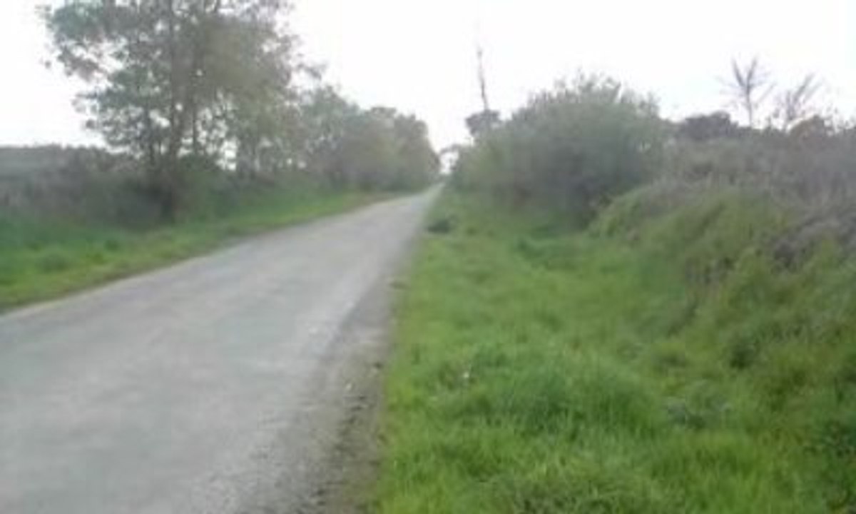 [Christo29400] Rieju Smx Top Rose