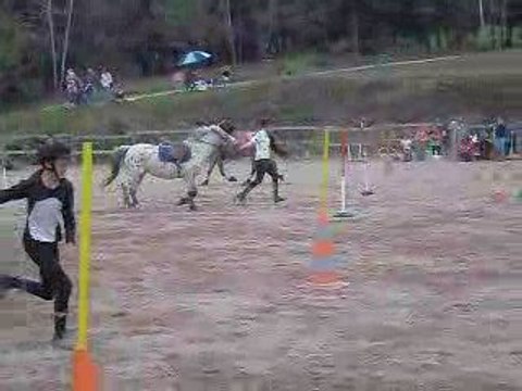 Marches le 26 avril 2009 pony games