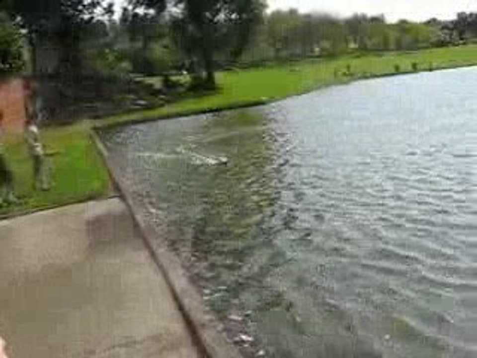 tsuNami essai 2