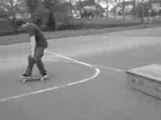 malo sk8 pas en folie