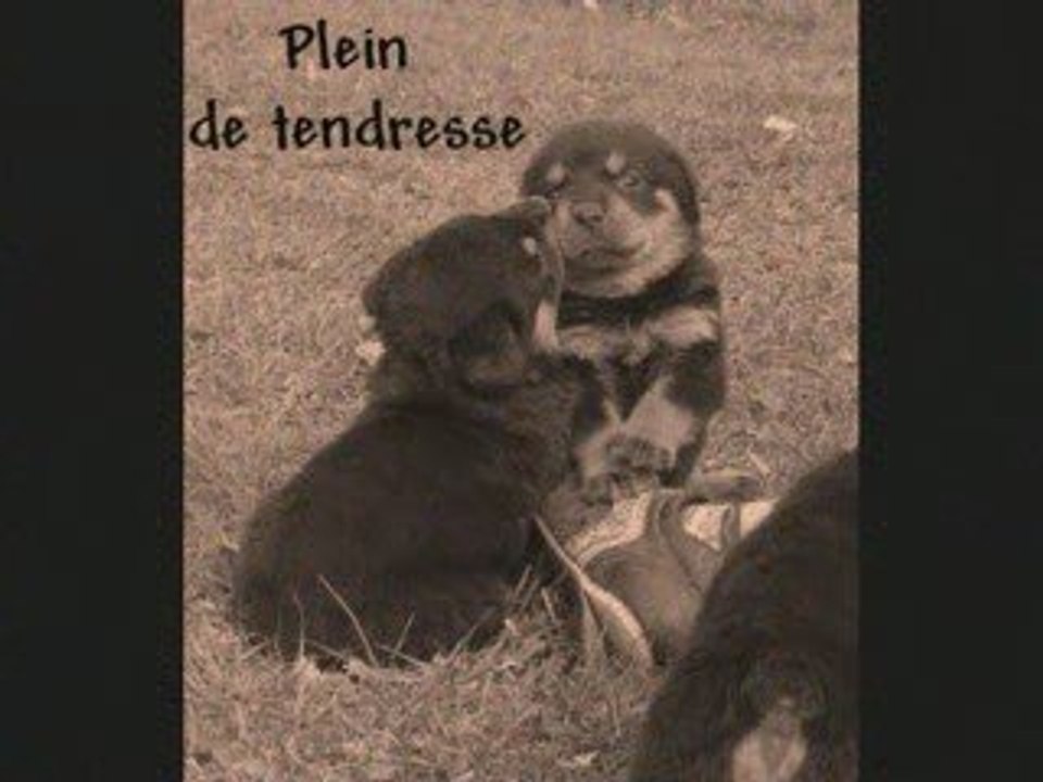 Déesses-éternelles