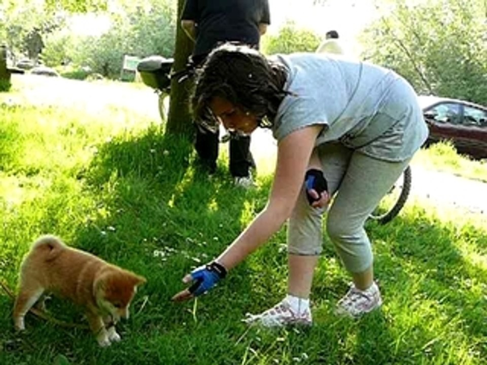 Les premiers jeux dans l'herbe