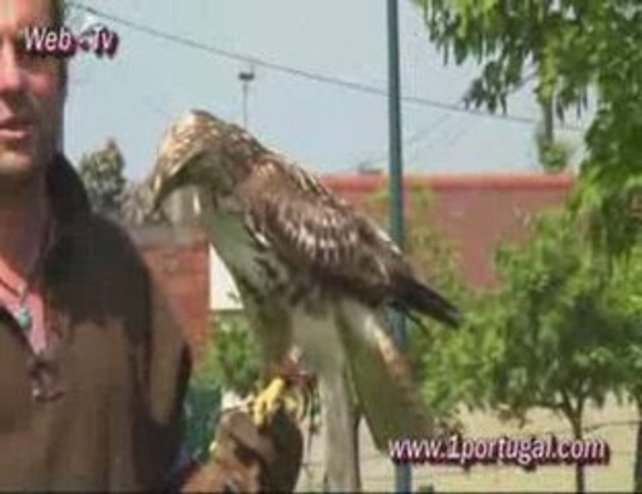 Feira Mediaval em Sartrouville ( 78 ) 01-05-2009 - N.4