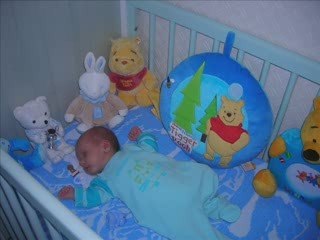 BB TONY FAICO 2 MOIS