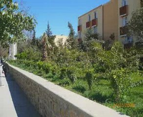 Algérie le beau pays