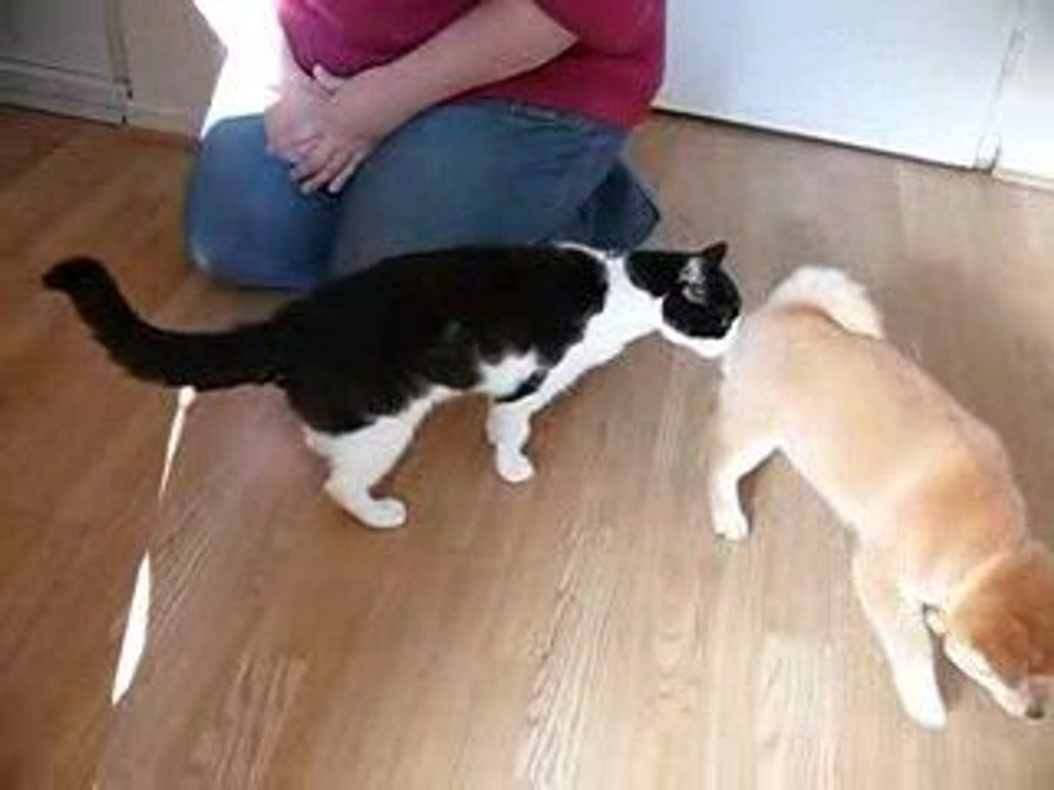 Leyka et Dido : la rencontre