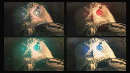 un Crachement hibou, Malpropre!!