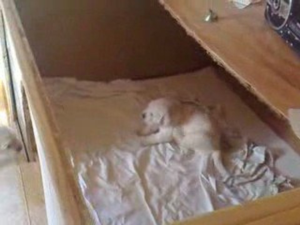 24-04-2009 1er jour dans la nursery