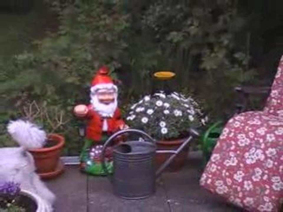 Geiler Gartenzwerg