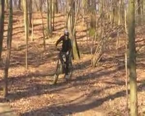 freerider metz forest 57