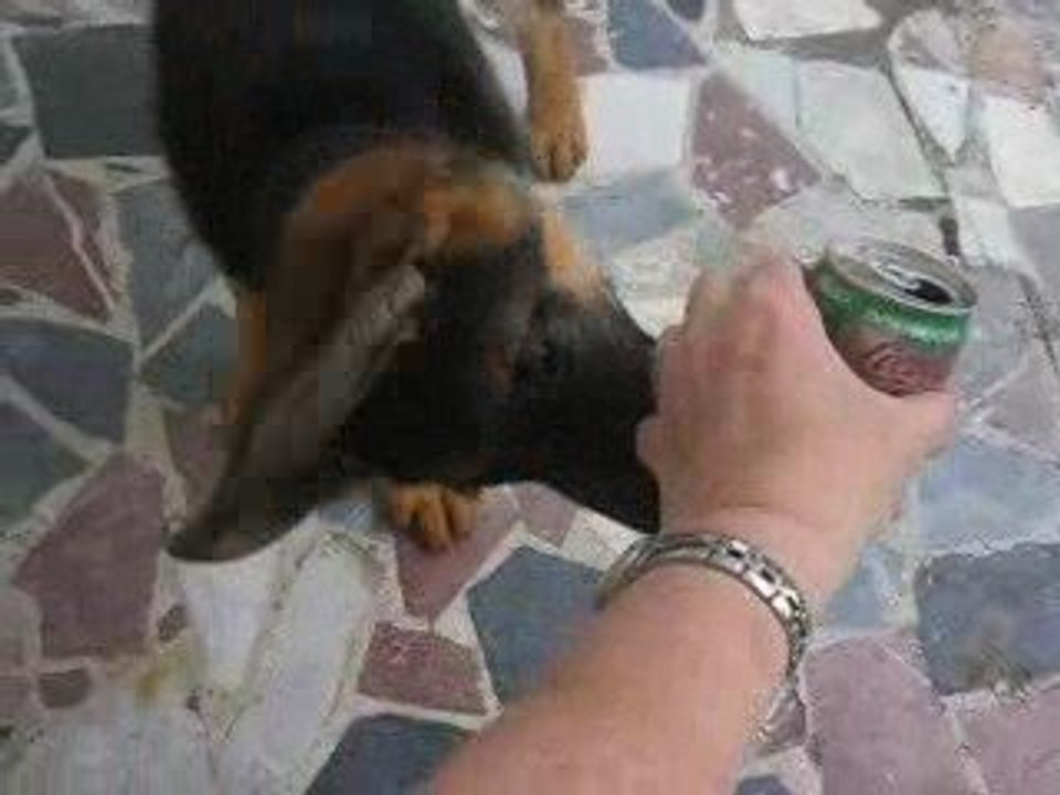 Elioth et les bulles de coca