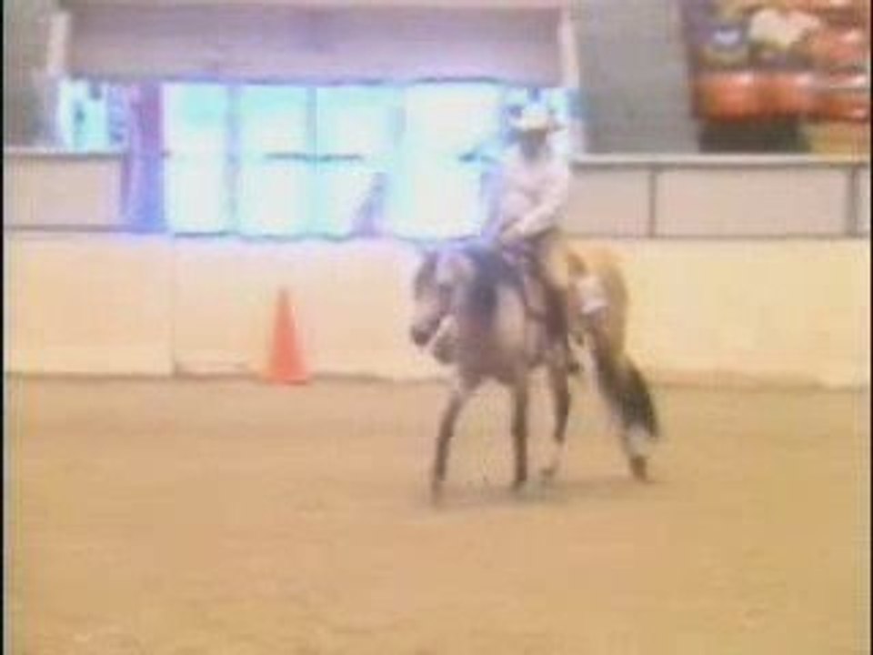 Reining Like a Cow-Boy and Jumping like a Jumper
