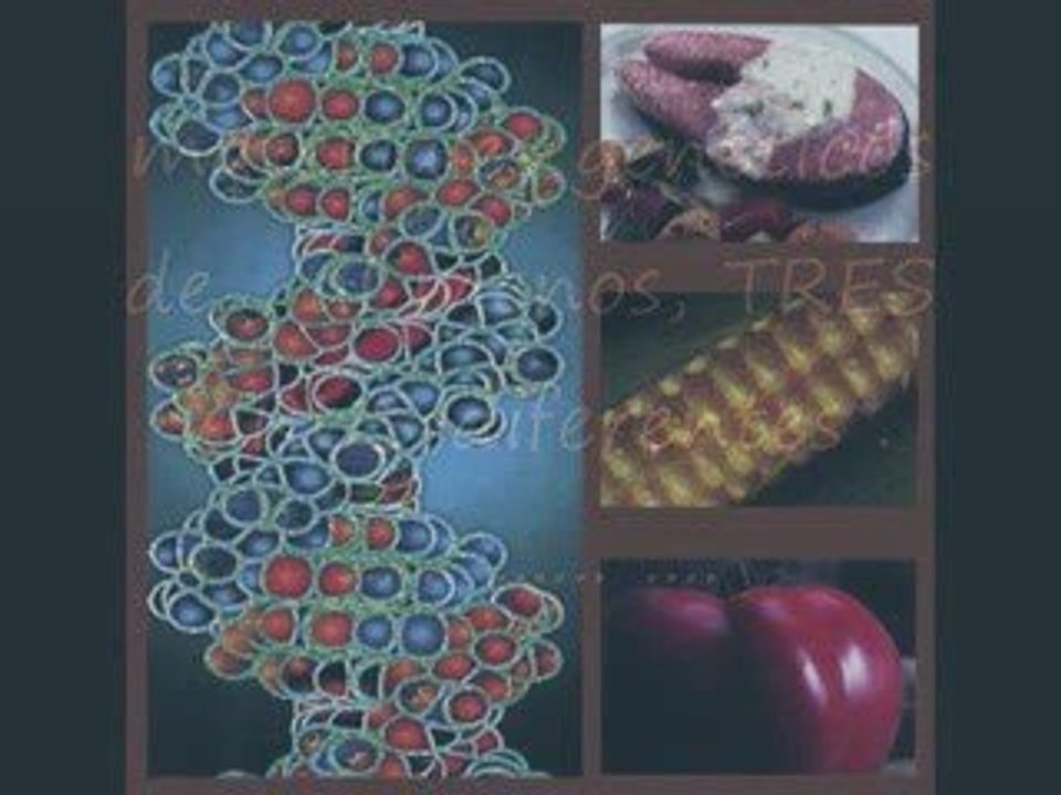 Gripe de los Cerdos Capitalistas. Peste Marranocapitalista