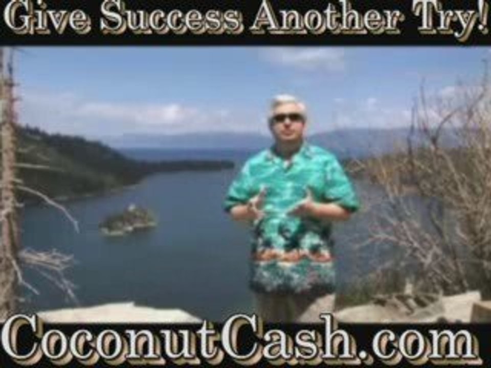 Zurvita Leveraged Income Business