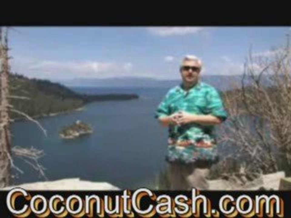 Zurvita Home Based Business Opportunity