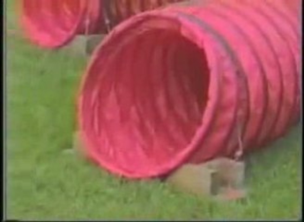 Agility Promo