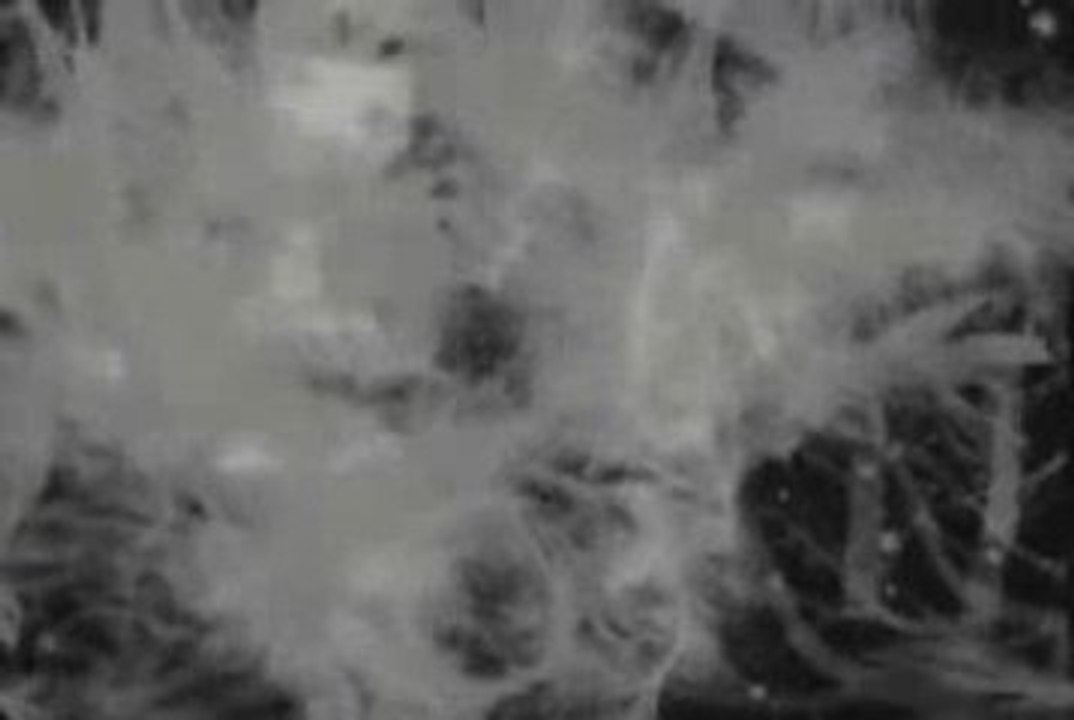 CINEMA intersect memory ある王の為の旋律