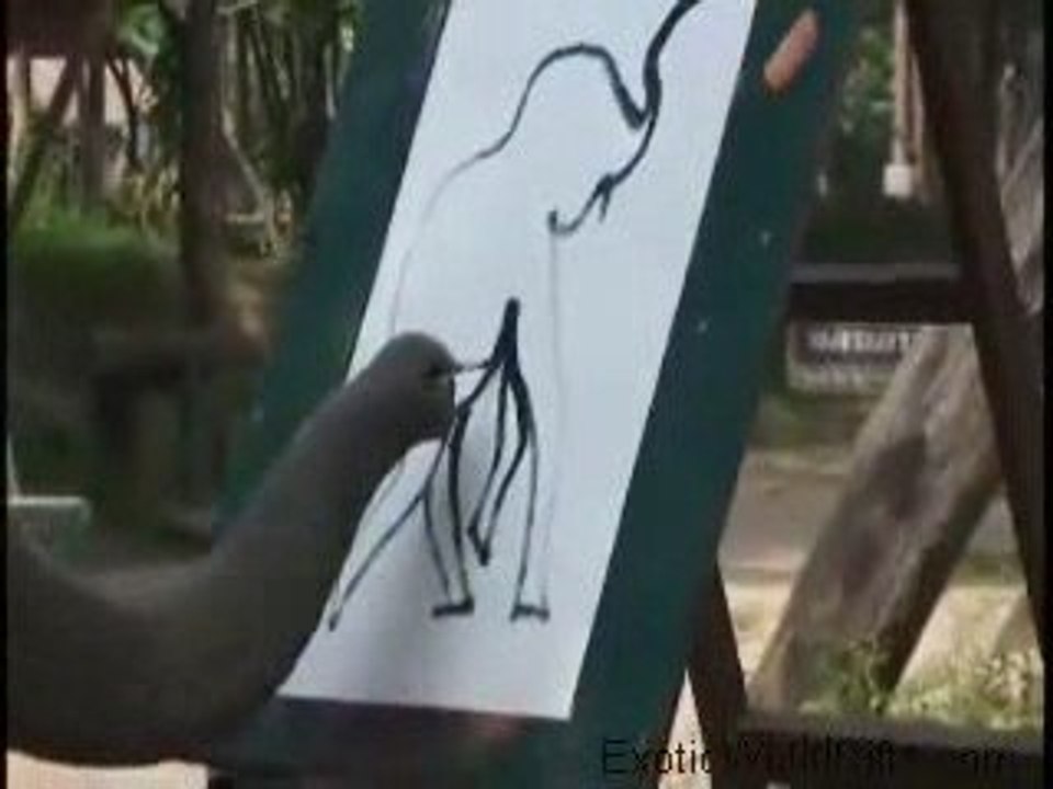 Rupert Ditsworth - Elephant