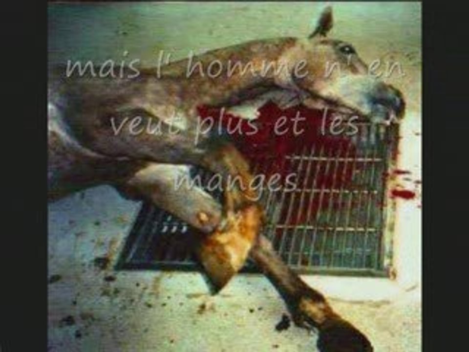 Non a l' hippophagie