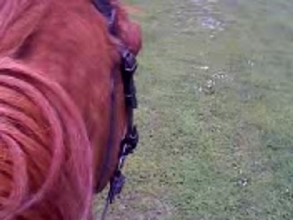 A cheval