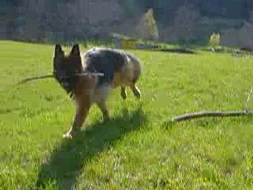 2009.05.01 013