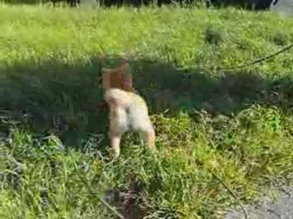 Première sortie du matin