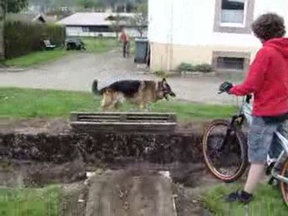 MOV00467