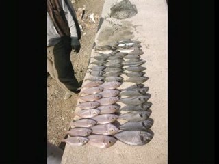 Necati AKKOÇ-Mart Ayı Birinciliği Klibi