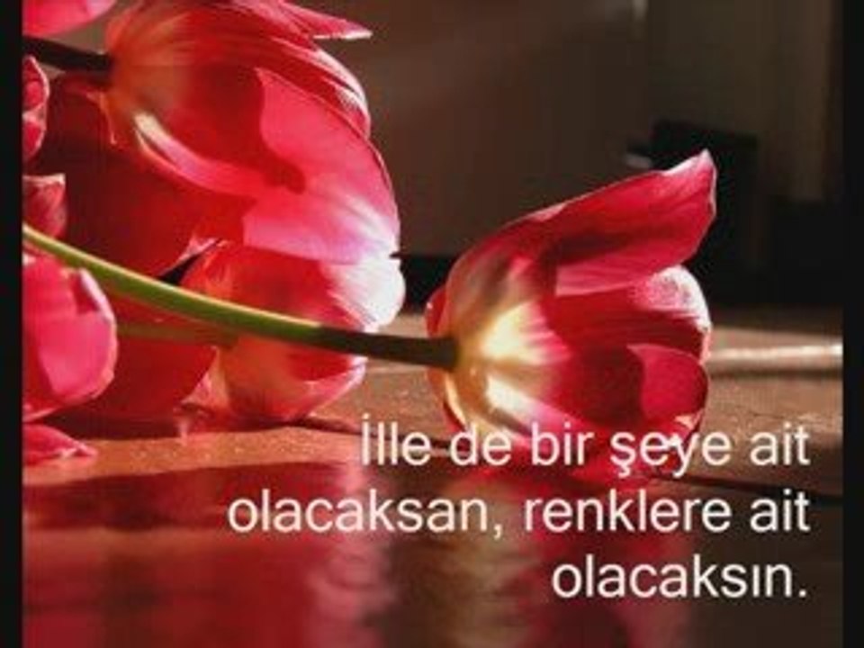 Baglanmayacaksin