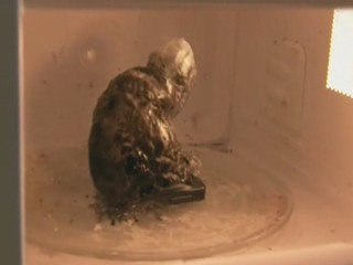 Le secret des téléphones portables