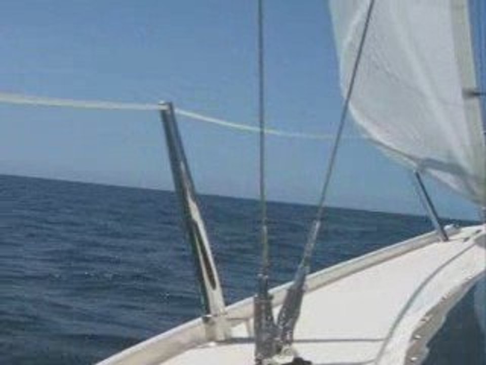 Microsail