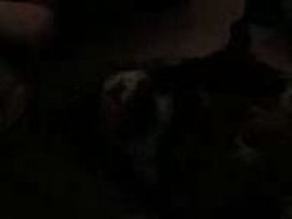 Kenzo bébé joue avec sarah dans son panier