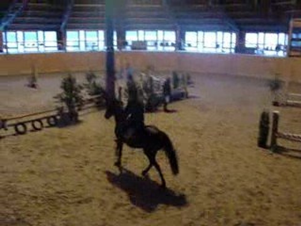 Zora parcours de saut 60-80cm