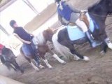 Le cours des petits [Poneys]