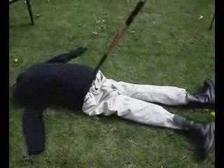 Man Impaled with Garden Fork in Freak Accident