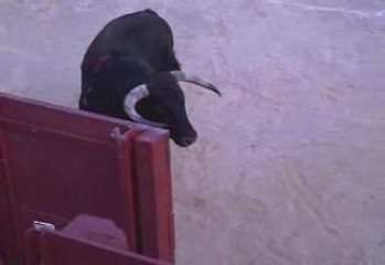 Juan Bautista Palavas 01/05/09