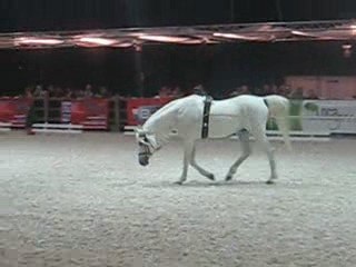 salon du cheval 2009
