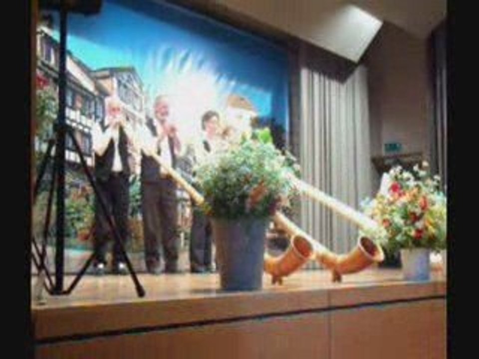 Jodlerfest Arbon Bodensee Schweiz Alphorn Quartett Egnach