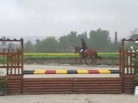 Chatelet 26.04.09 marc et peggy 80 cm