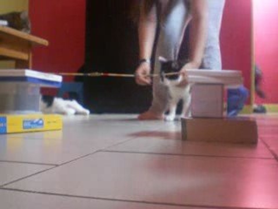 hugo mon petit poussin en cso