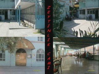 Zeytinlik mahallesi samsun