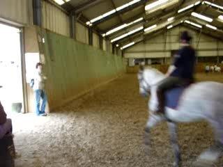 LNS 20.05 139: Petit galop avec ma chérie 🐎