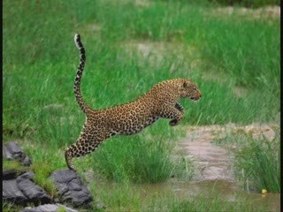 C est pourtant pas compliqué