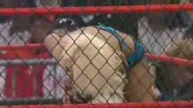 Lockdown 2009 pt.8 Awesome Kong vs Angelina Love vs Wilde