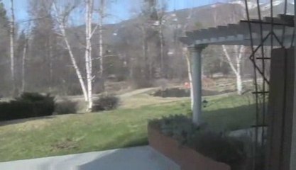 123 pond Ave Stevensville Montana 59833 2 bed 2 bath