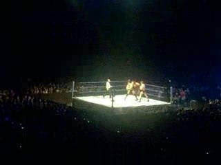 Tombstone and Pedigree Strasbourg 2009