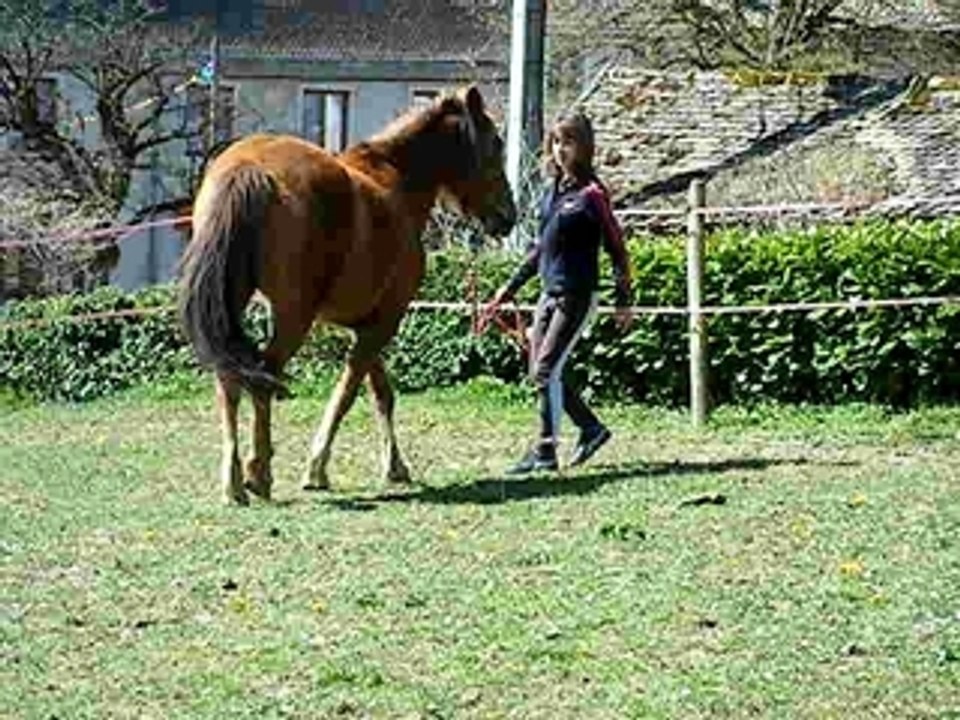 2009_0409samedi0194