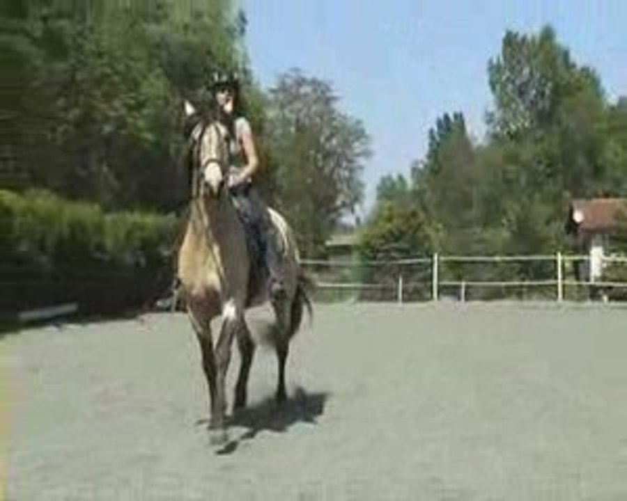 Trot espagnol